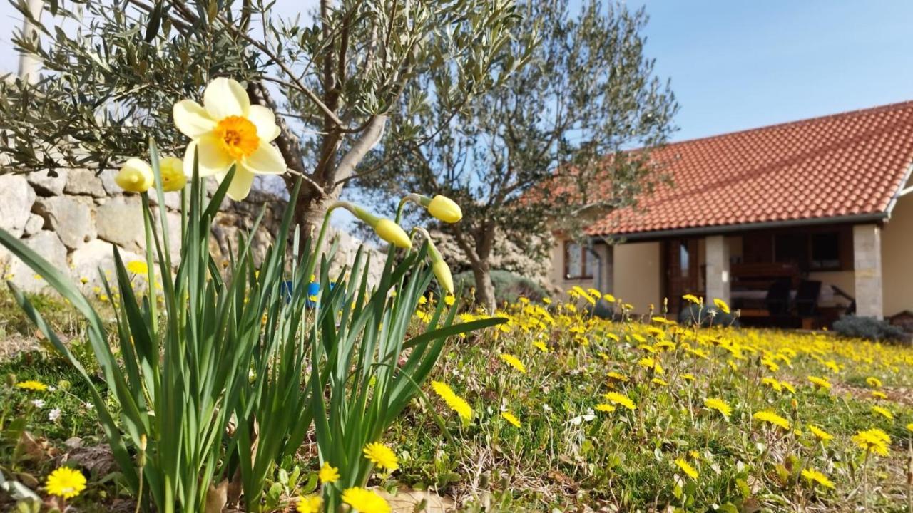 Holiday House Green Dream Обровац Екстериор снимка
